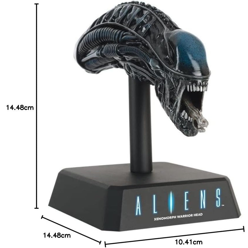 Tête Xenomorph Warrior 1:6 Hero Collector avec dimensions