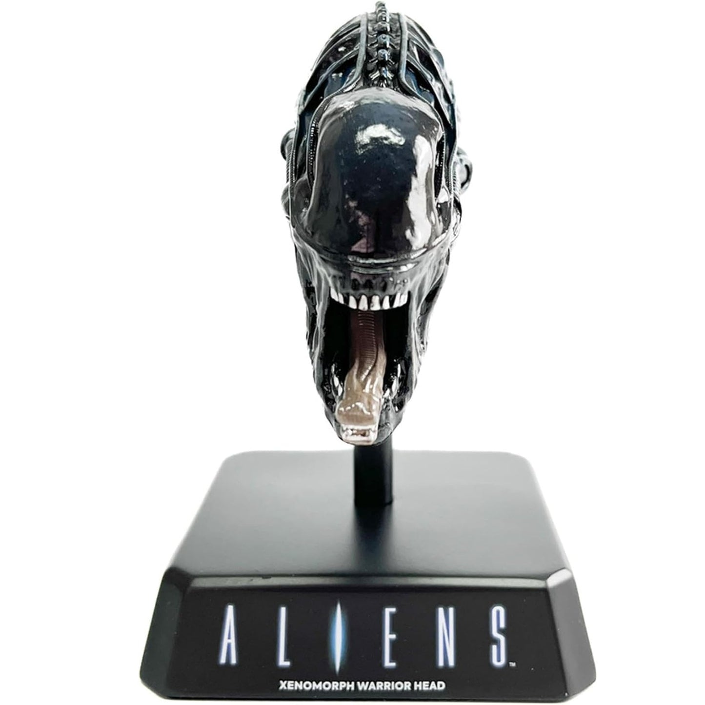 Tête Xenomorph Warrior 1:6 Hero Collector de face