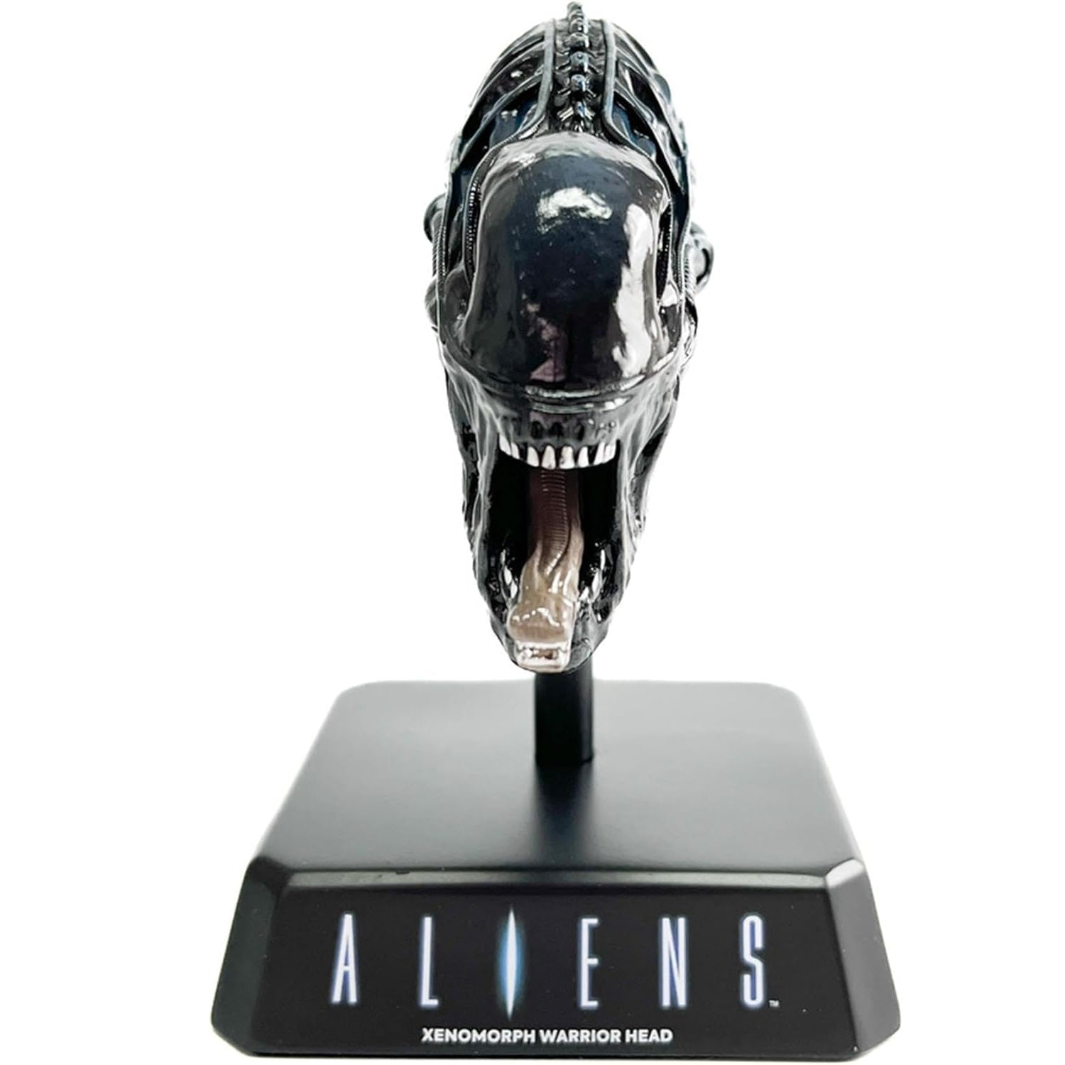 Tête Xenomorph Warrior 1:6 Hero Collector de face