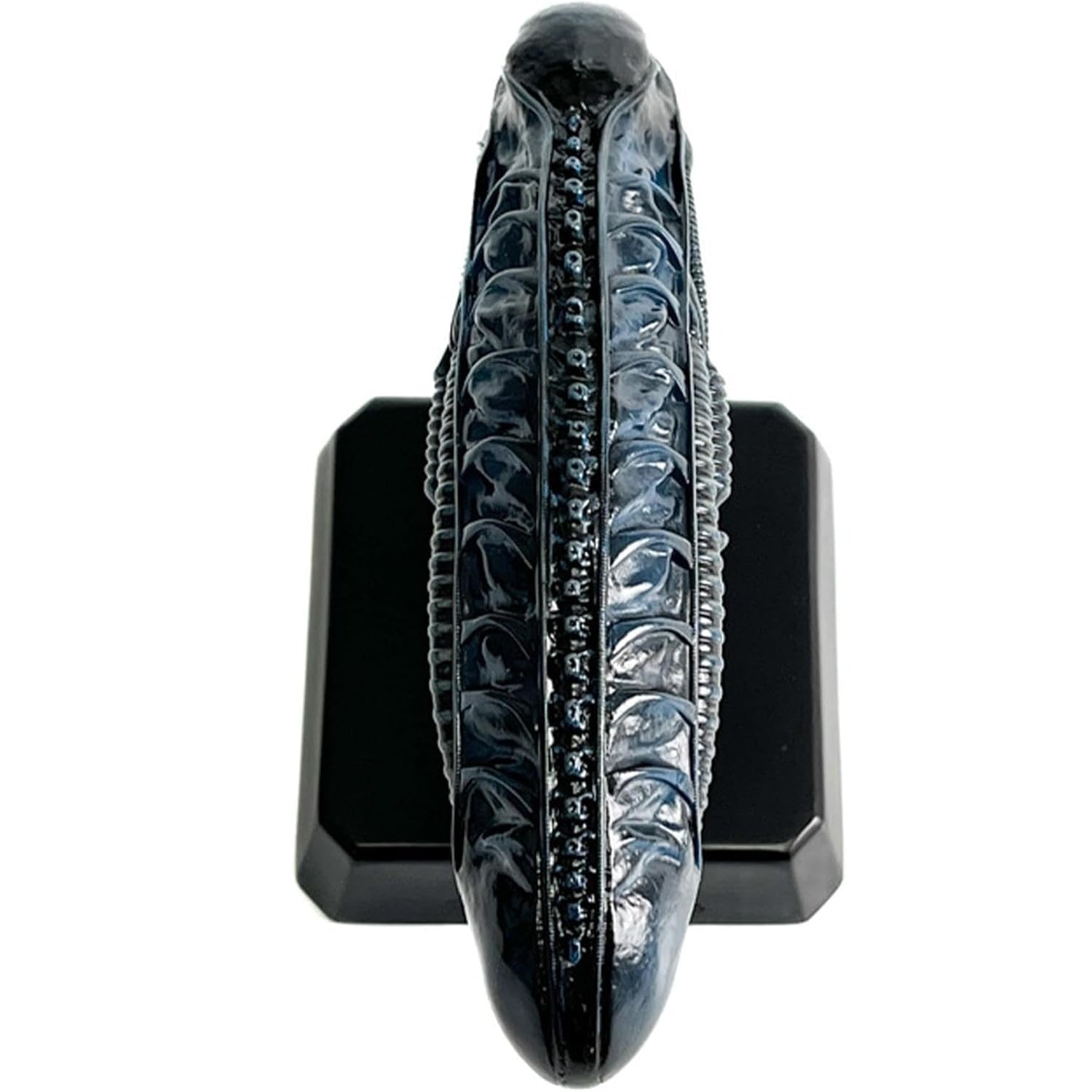 Tête Xenomorph Warrior 1:6 Hero Collector vu de dessus