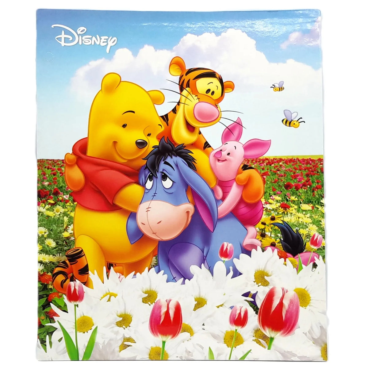 Portefolio de Winnie the Pooh et ses amis vu de devant