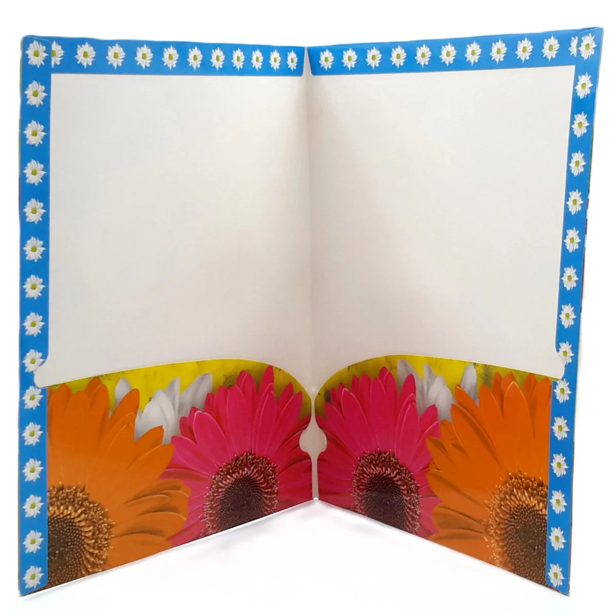 Portefolio de Wnnie the Pooh vu ouvert